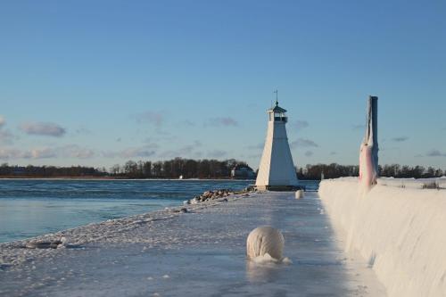 a lighthouse on the water with a dog in front of it at Vadstena Folkhögskola Vandrarhem in Vadstena