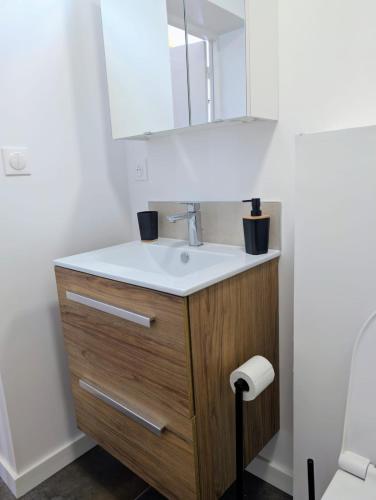 a bathroom with a sink and a mirror at Maisonnette proche centre ville et plage in Saint-Brevin-les-Pins