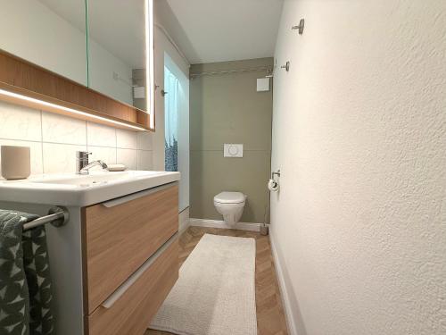 a bathroom with a sink and a toilet at Bauernhaus mit Traumblick über Bern in Bolligen