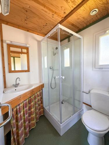 a bathroom with a shower and a toilet and a sink at Ferme de L'Aoueille in Pouylebon