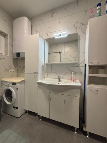 a kitchen with a sink and a washing machine at Apartman Helena in Senj