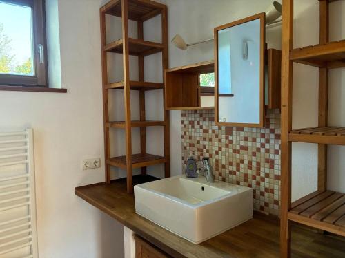 a bathroom with a white sink and wooden shelves at Bungaloase in Kelheim