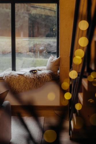 a window with a dog laying on a pillow next to it at Monside Resort - AIR CABIN in Borzont