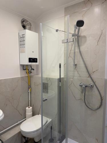 a bathroom with a toilet and a glass shower at Apartamenty Cud Miód in Krosno
