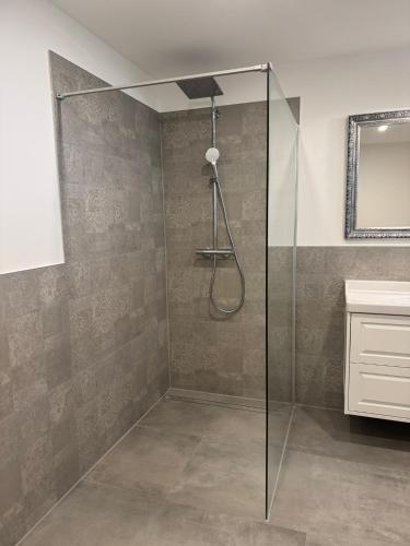 a shower with a glass door in a bathroom at Hof Sandfort in Bad Laer
