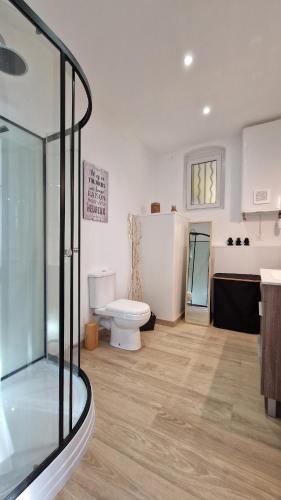 a bathroom with a toilet and a glass shower at Cocooning et Charmante Maisonnette Provençale, avec Extérieurs privatifs et Accès Piscine in Orgon