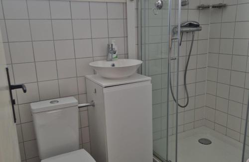 a bathroom with a sink and a toilet and a shower at Bungalowpark Simpelveld - Alpha 95 in Simpelveld