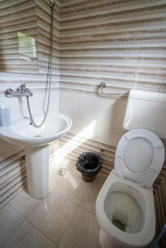 a bathroom with a toilet and a sink at Vuk Etno domaćinstvo in Barajevo