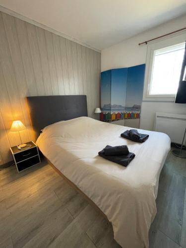 Red Pearl- Piscine, parking privé, Appartement pour 4 personnes tout équipé, plage de Richelieu à 200 mètres