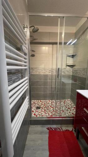 Red Pearl- Piscine, parking privé, Appartement pour 4 personnes tout équipé, plage de Richelieu à 200 mètres