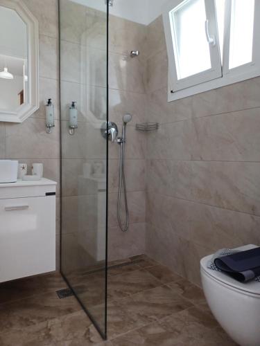 a bathroom with a shower and a toilet at Babis Apartments & Studios Iremia in Acharavi