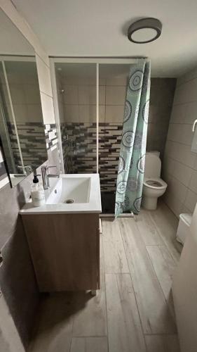 a bathroom with a sink and a toilet at Gaia Merindades in Salinas de Rosío