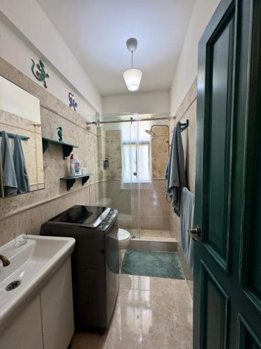 a bathroom with a shower and a sink and a toilet at Casa Lio, Caribbean Pool Residence in Boca Chica