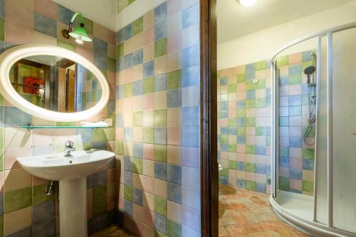 a bathroom with a sink and a shower at La finestra sul Chianti in Radda in Chianti