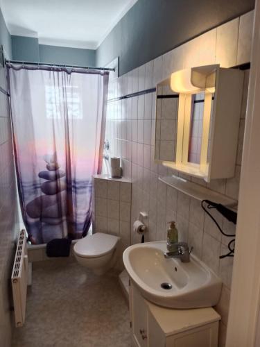 a bathroom with a sink and a toilet and a shower at Stadtnah an der Förde 65 2 in Flensburg