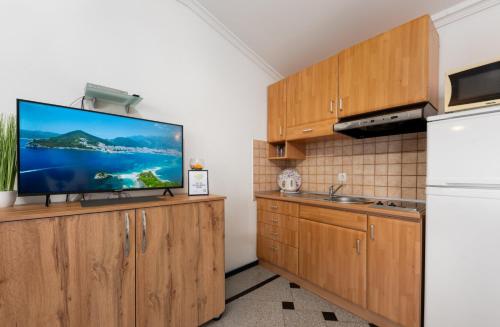 Apartment Tomic 2