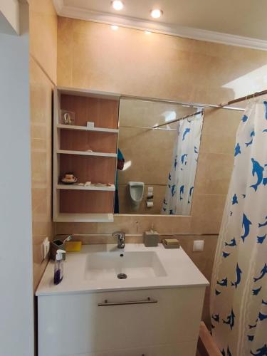 a bathroom with a sink and a mirror at Jones house in Nea Fokea