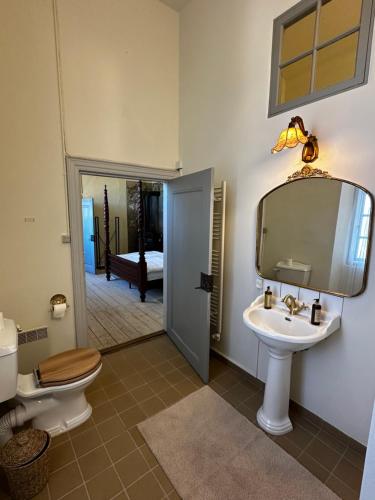 a bathroom with a toilet and a sink and a mirror at Estrup Hovedgaard in Vejen