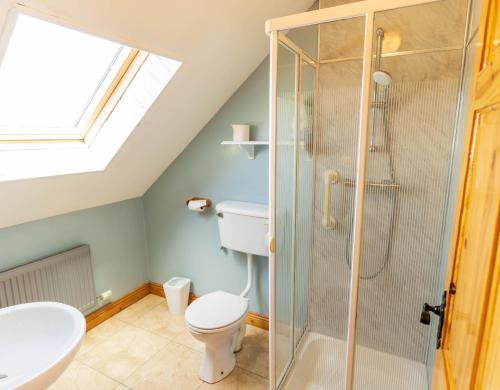 a bathroom with a toilet and a shower at Perewinkle Cottage - Portmagee in Lateeve
