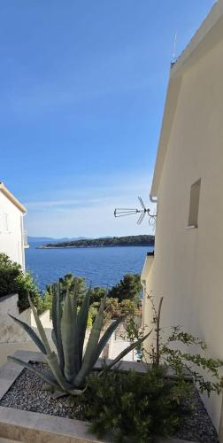 a cactus next to a building with a view of the water at Villa Vista in Blato