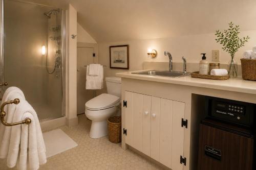 a bathroom with a toilet and a sink and a shower at 29 India House in Nantucket