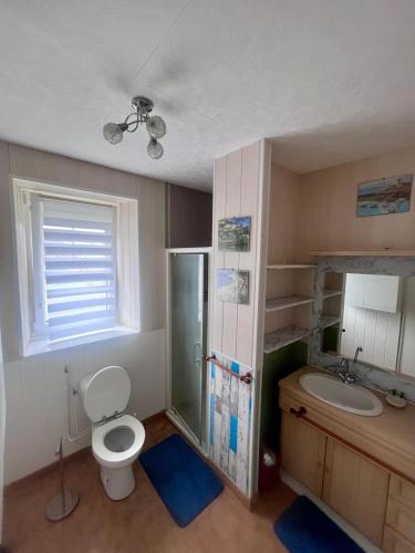 a bathroom with a toilet and a sink at Gîte de L'embarcadère in Moustéru