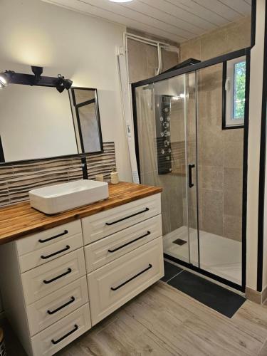 a bathroom with a sink and a shower at Ici et nulle part ailleurs in Saint-Vivien-de-Médoc