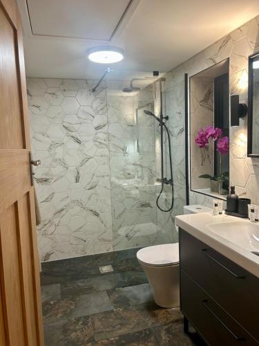 a bathroom with a shower and a toilet and a sink at Hawks Hideaway in Warminster