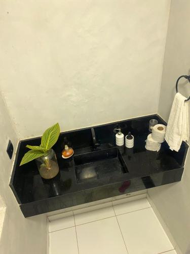 a bathroom sink with a potted plant on a counter at Good Winds Kite House in Cruz