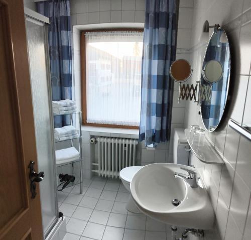 a bathroom with a sink and a toilet and a mirror at Ferienwohnung Weiß inkl. Chiemgaukarte in Ruhpolding