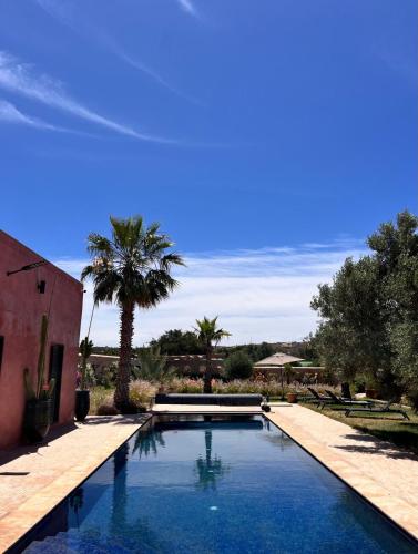 a swimming pool in a yard with a palm tree at Casa Misasha, pool & rooftop-5 suites-13 lits-hamam in Essaouira