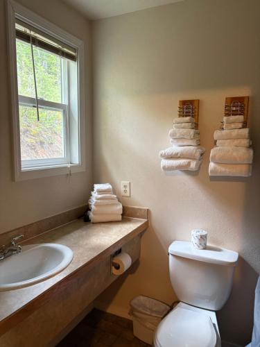 a bathroom with a toilet and a sink and a window at Glacier Highland Motel in West Glacier