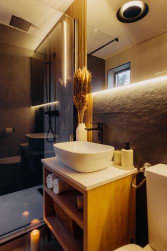a bathroom with a sink and a toilet and a tub at Monside Resort - FIRE CABIN in Borzont