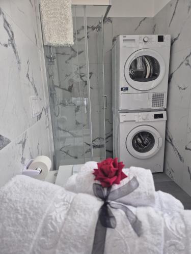 a bathroom with a washer and a washing machine at Stornelli Suite & Apartments in Avezzano