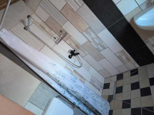 a bathroom with a shower and a toilet and a sink at Casa Vacanza in Serravalle delle Langhe