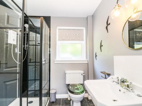 a bathroom with a toilet and a sink and a mirror at Kilmartin View in Lochgilphead