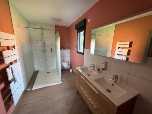 a bathroom with a sink and a shower and a toilet at Brin d'Air Lodge in Montcornet