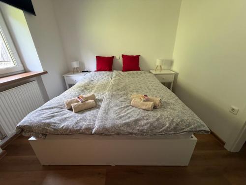 Renovated Apartment Jana Bohinj