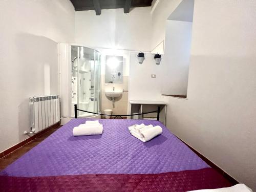 a room with a purple bed with towels on it at Le Saliscalette in Norcia
