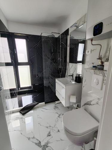 a bathroom with a toilet and a sink at Cozy apartment Vama Veche in Vama Veche