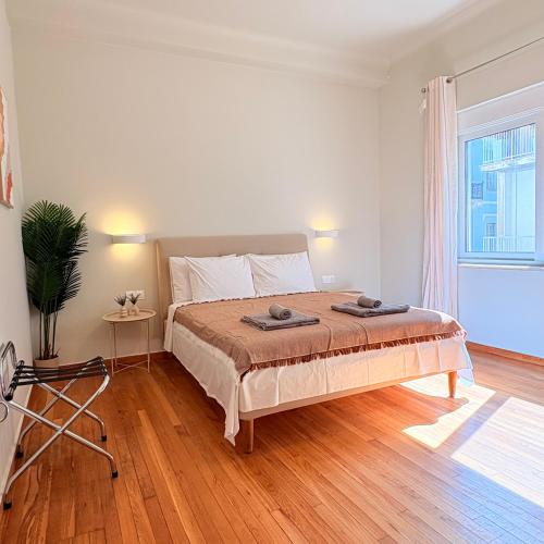 Hermes 5 BD suite