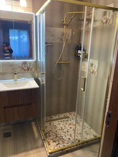 a bathroom with a shower and a sink at Oasis House in Hunedoara