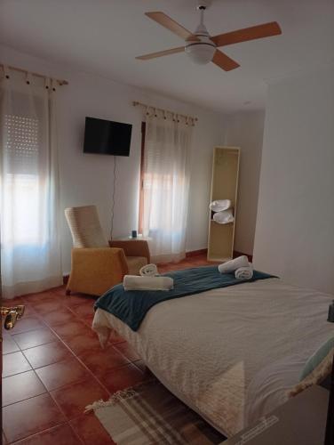a bedroom with a bed and a ceiling fan at Casamanchega13j in Iniesta