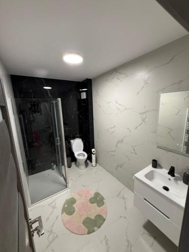 a bathroom with a shower and a toilet and a sink at Anais Flower in Târgu Neamț