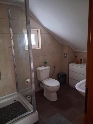 a small bathroom with a toilet and a shower at Dudov Hlad in Batina