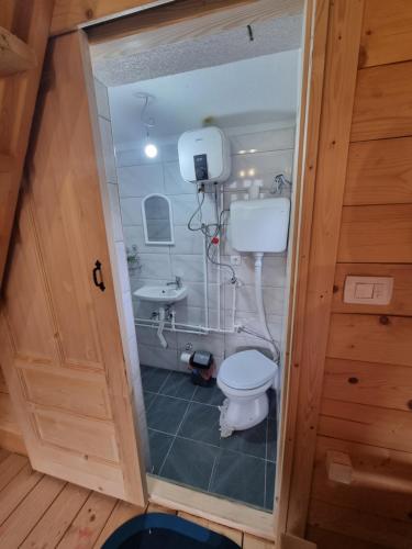 a small bathroom with a toilet and a sink at Auto kamp Runolist in Rožaje