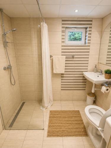 a bathroom with a shower and a toilet and a sink at 4Rest&Fun Krušné hory in Klíny
