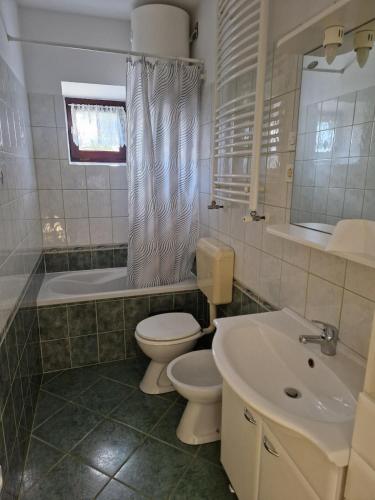 a bathroom with a toilet and a sink and a tub at Holiday house Katrca in Pivka