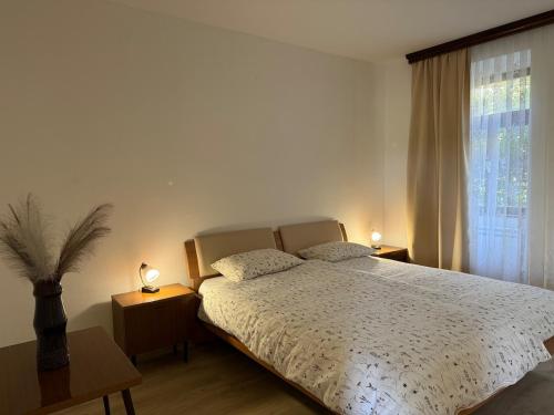 a bedroom with a bed with two lamps and a window at Holiday house Katrca in Pivka