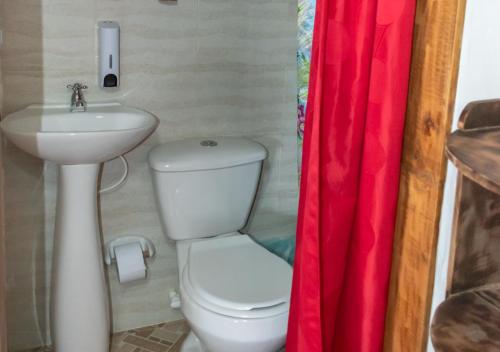 a bathroom with a white toilet and a sink at Ecohotel Bellavista Pance in Cali